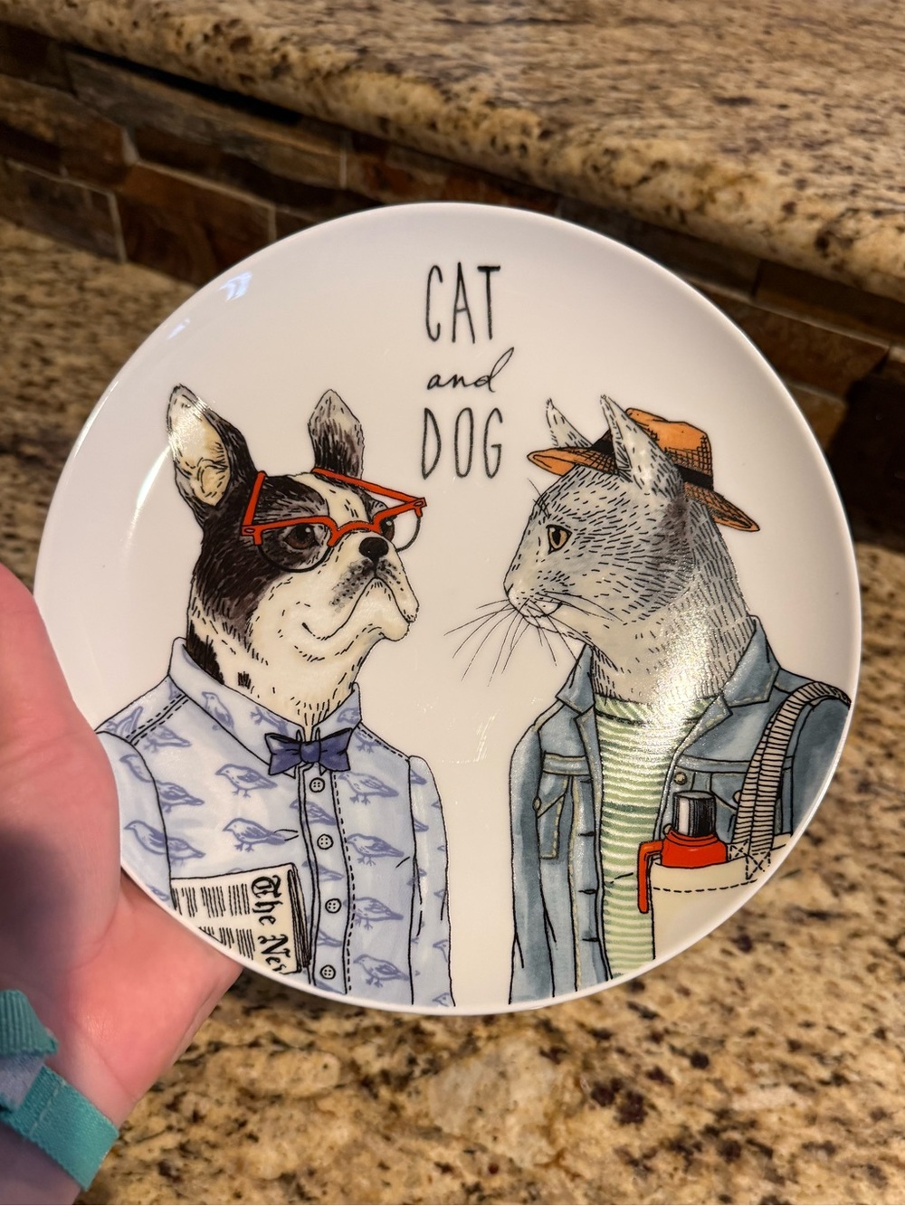 Cat and dog dapper animal Rachel kozlowski plate west elm